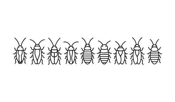 Minimal cute cockroach icons simple insect line art black and white vector illustration isolated on white