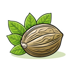 Naklejka premium Whole nutmeg spice with green leaves illustration for culinary and cooking concepts