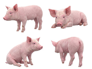 A delightful compilation of young pink piglets showcasing diverse poses, perfect for themes of farming and cuteness. © Christina