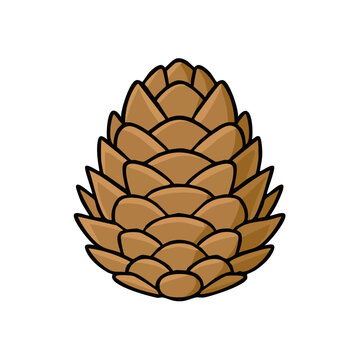 Pine Cone Isolated Graphic Illustration on White Background Natural Object