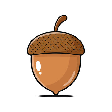 Cartoon Acorn Isolated Illustration Simple Woodland Seed Nut Food