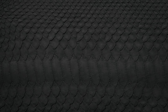 black snake skin texture, reptile leather as background