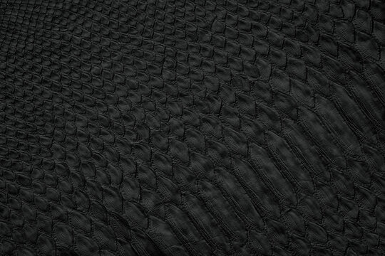 black snake skin background, natural reptile leather texture.