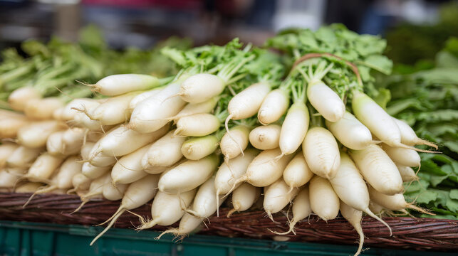 Close-up view group of fresh raw local Daikon (or Asian white radishes, Raphanus sativus) on display at outdoor Vegetable Stall at Little India, Singapore. Organic healthy food ingredient background