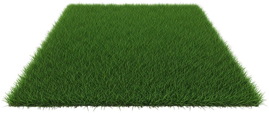 Green grass png Lush lawn cutout Fresh turf png Natural plant cutout Vibrant greenery png Healthy field cutout Textured sod png Realistic patch cutout Outdoor isolated transparent background image