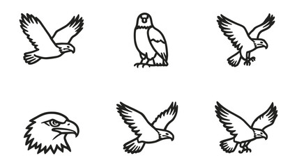 Fototapeta premium Eagle Icons: A set of six meticulously drawn icons showcasing the eagle in various poses, from soaring in flight to a proud head profile, each line art illustration representing power and freedom. 