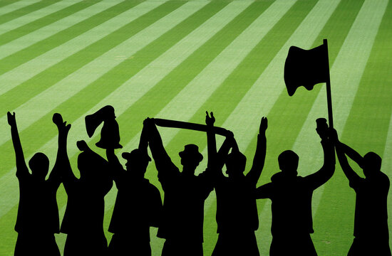 Fans feuern ihr Team im Stadion an