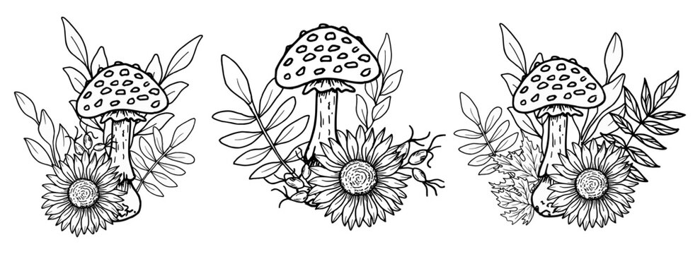 Composition of mushroom with sunflower, rose hips, maple leaves. Botanical vector illustration. Hand drawn in black ink. Outline drawing of fly agaric and berries for seasonal holidays, Thanksgiving.
