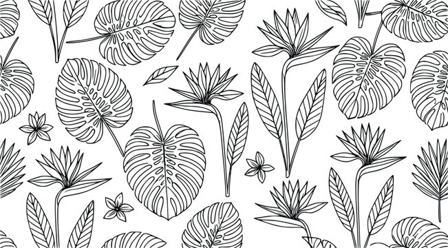 Seamless tropical botanical pattern illustration featuring hand-drawn monstera leaves and bird of paradise flowers in a clean line art graphic design