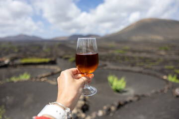 Obraz premium Hand holding glass of wine in volcanic vineyard Lanzarote