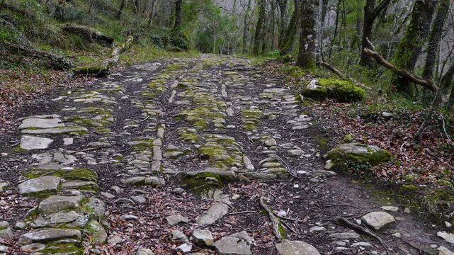 "Royal Road of Las Enderrozas" on the route to the Hijuela River waterfalls in Ir&uacute;s, in the Mena Valley. Merindades region. Burgos. Castile and Le&oacute;n. Spain. Europe