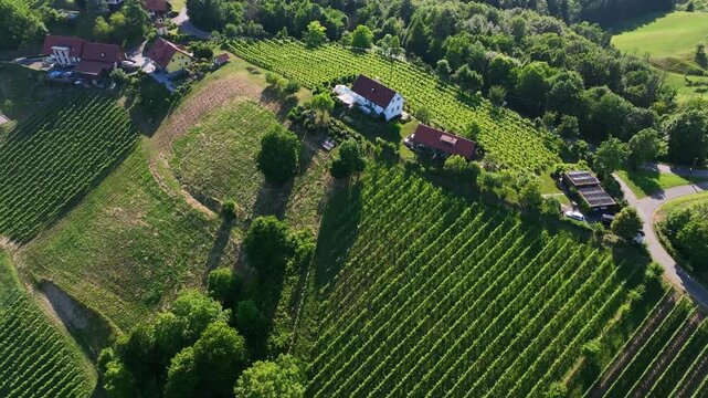 From above, small family-run winemaking farmsteads dot Styrian countryside, surrounded by blooming vineyards, rustic barns and stone walls glow in amber tones, essence of traditional viticulture