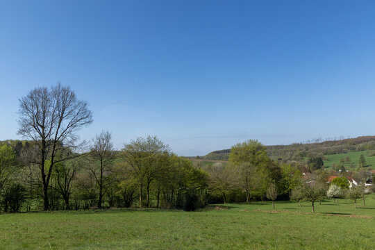 rural landscape near Altenbeken with trees, fresh green meadow and nature