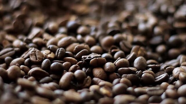 coffee premium arabica coffee beans rich texture dark roast glossy surface no people stock footage stock video