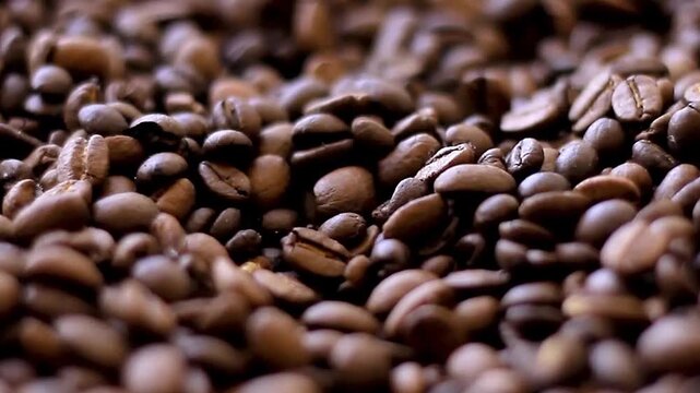 coffee premium arabica coffee beans rich texture dark roast glossy surface no people stock footage stock video