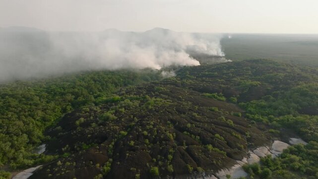 Aerial view of wildfire smoke rising from tropical forest border