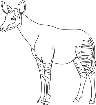 Rare okapi forest giraffe in continuous line drawing style - Adobe Illustrator Artwork
