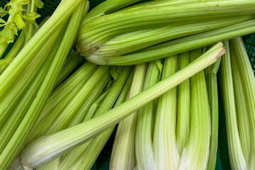 Fototapeta premium Fresh green celery bunches in a market basket ready for sale