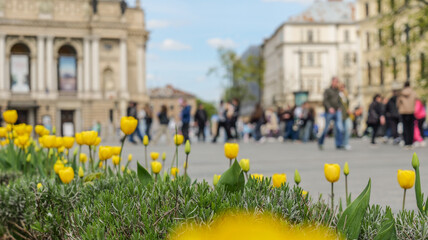Yellow tulips bloom in front of an opera house with people walking by © shine.graphics