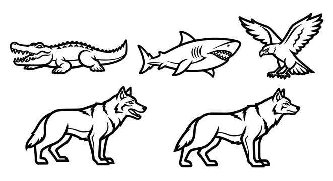 Line art illustrations of animals crocodile shark eagle wolf graphic designs