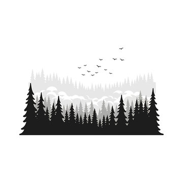 Minimalist pine forest silhouette with birds flying above vector