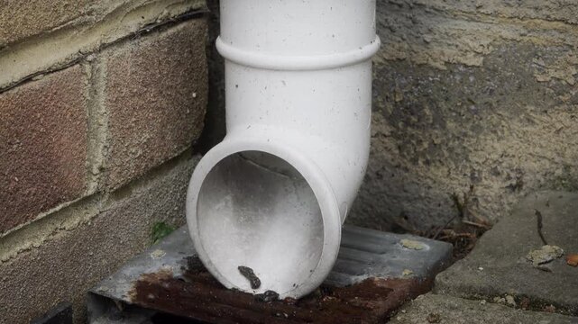 House drainage close up sliding camera motion stock footage