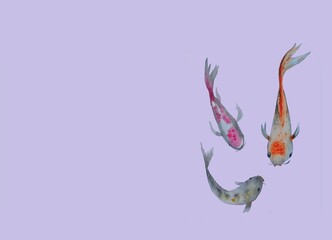 Fototapeta premium Stock illustration Japanese style colorful koi fish with background for text. Fish painted with acrylic paints