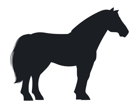 Standing horse silhouette. Domestic animal in calm pose flat vector illustration. Cartoon graceful farm horse silhouette on white background