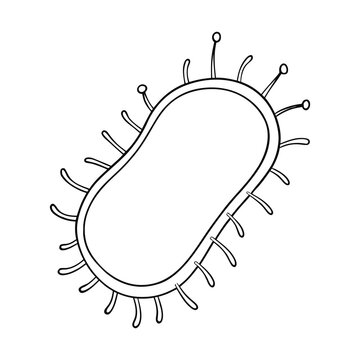 Bacterial cell structure includes a cell wall, plasma membrane, cytoplasm, ribosomes, and DNA in the nucleoid region, all working together to support life and reproduction.
