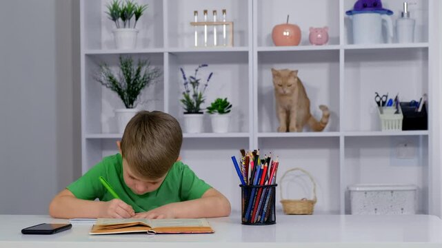 A primary school child writing in a notebook while his pet cats explore a white bookshelf behind him in a home setting.