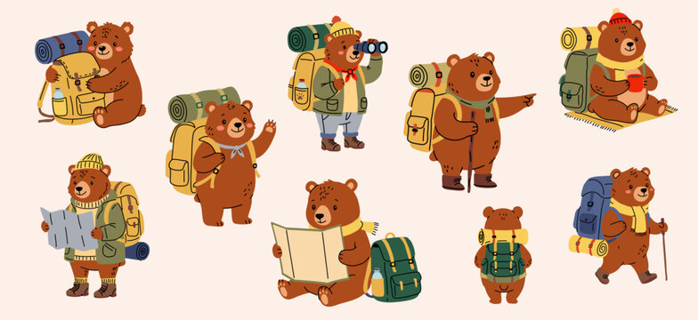 Cute Bear Camping Characters Set Cartoon Illustration