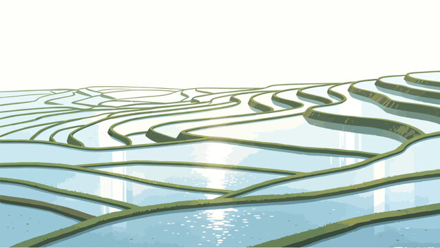 Minimalist Flat Illustration of Sunlit Water-Filled Terraced Rice Paddies on a Rolling Hillside, With Soft Glow of Sun Reflection on Water