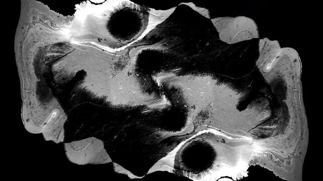 abstract background Black ink artistic flow splatter spots spills white paper beautiful reveal dripping streaks spread fluid ink alpha matte isolated watercolor ink drops transition real