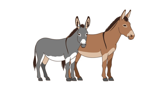 Two donkeys standing side by side with white background vector illustration