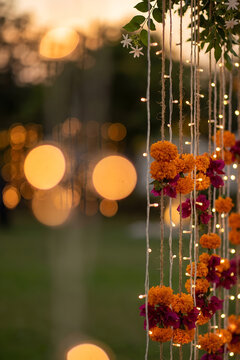 Flower decoration with string light for festive event. Hanging golden marigold and purple bougainvillea garland with warm led bulb at sunset. Traditional wedding backdrop concept.