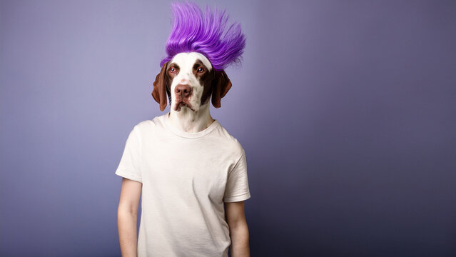 Surreal Anthropomorphic Dog with Vibrant Purple Mohawk Staring Intensely