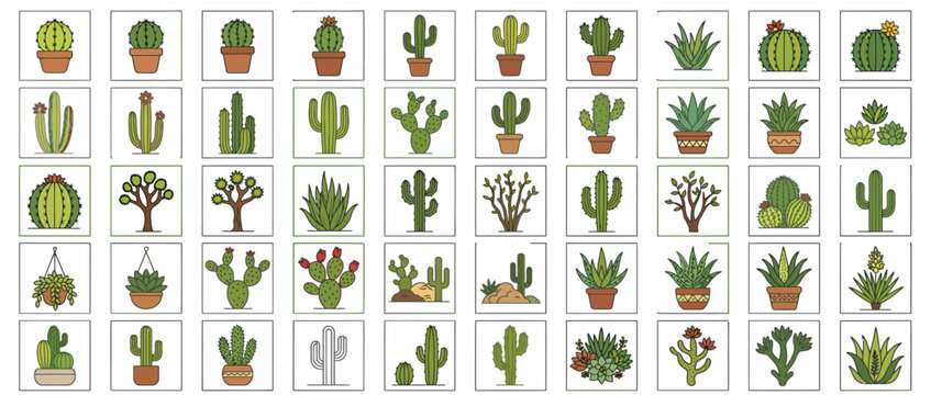 A diverse collection of various cacti and succulents.