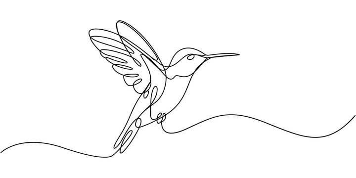 Hummingbird continuous one line drawing. One line drawing illustration of colibri. Flying animal concept Single line, Hummingbird one line art design