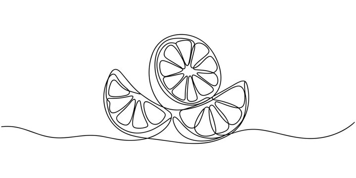 Orange continuous single line drawing, One line art orange fruit vector illustration, Continuous one line drawing of orange fruit, Orange fruit in continuous line art drawing style, single line lemon.