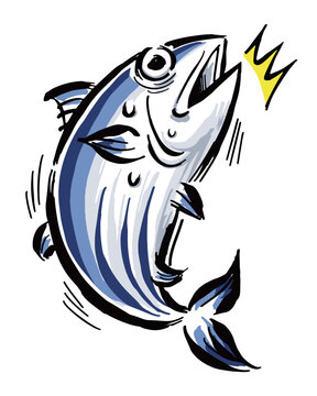 驚く魚　カツオ　筆タッチ手描きイラスト