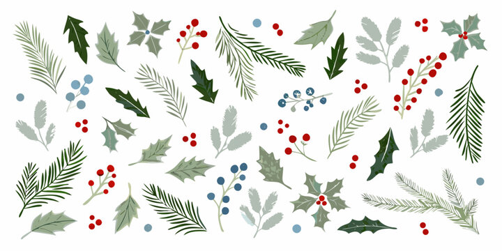 A collection of festive botanical illustrations including holly berries and pine
