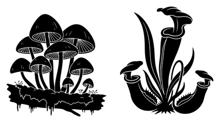 Wild mushrooms and carnivorous pitcher plants in black and white botanical vector style © Logan