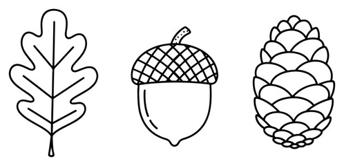 Oak leaf acorn and pine cone autumn nature symbols in clean line art style © Logan