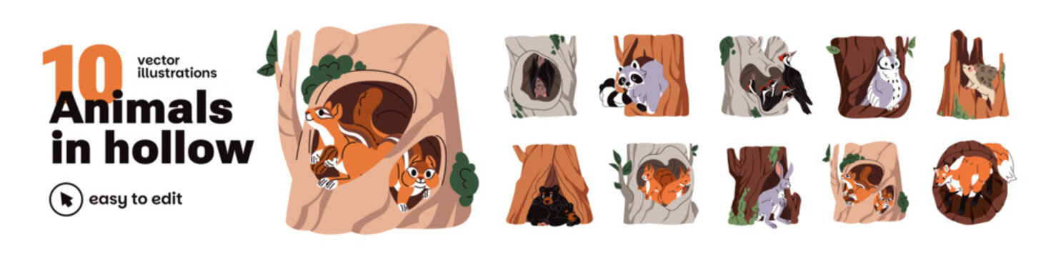 Animals in hollow set. Cute forest characters inside tree holes and burrows. Nests, bark, caves and houses in trunk and stumps for wildlife. Flat isolated vector illustrations on white background