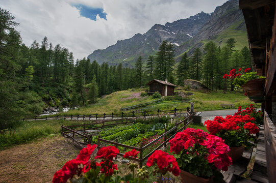 landscape in Gran Paradiso National Park, from alpine chalet red geranium pots
