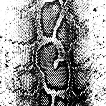 Black and white snake skin texture pattern background texture design isolated on transparent background