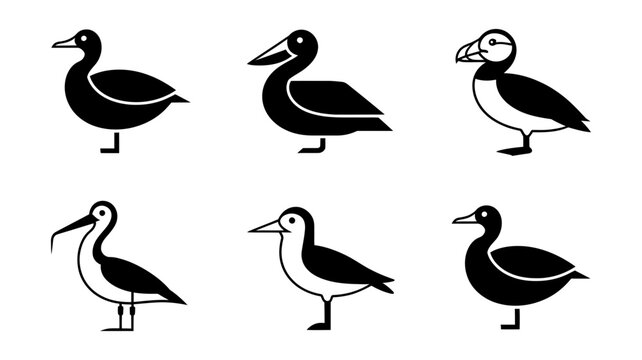 Six black silhouette birds including duck puffin and wader on white background simple vector