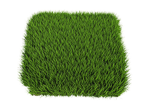 A square piece of green grass set against a clean white background, ideal for use in designs where a natural and simple texture is needed