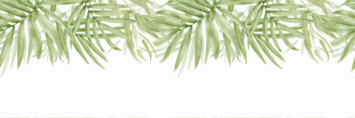 Palm leaves, seamless border. Watercolor illustration. The drawing was drawn manually. The leaves of tropical trees are isolated on a white background. © Elena