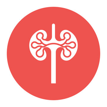 Kidney Function Icon
